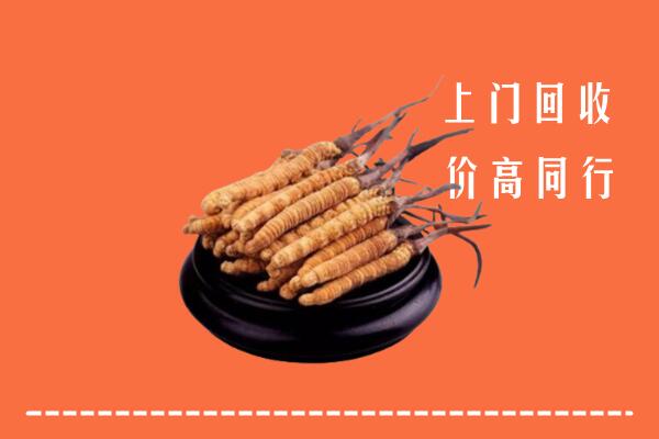 石排镇回收冬虫夏草