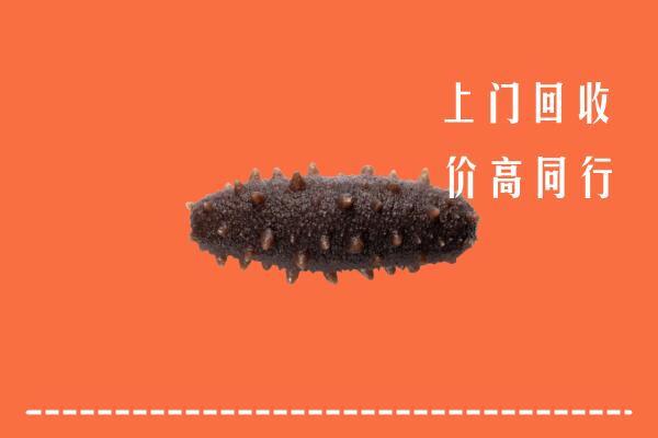 石排镇回收海参